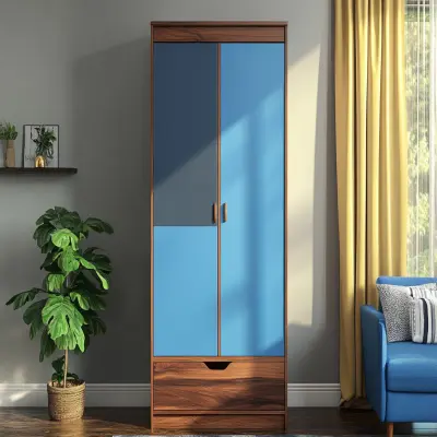 Modern 2-Door Swing Wardrobe Design In Grey And Blue